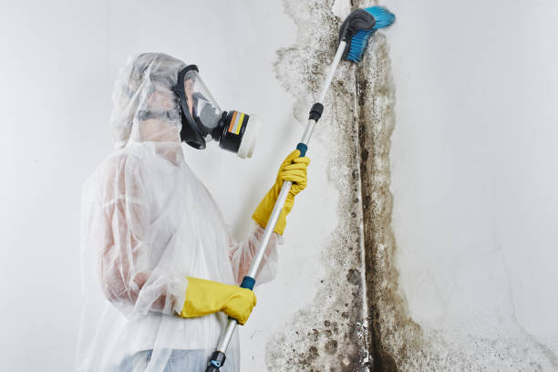 Best Water Damage Restoration  in Garrison, TX