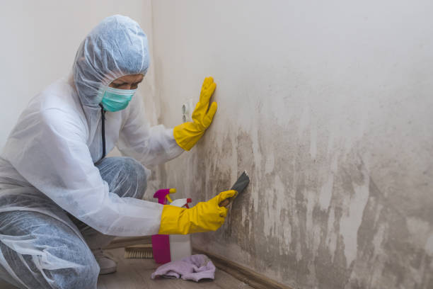 Best Attic Mold Removal  in Garrison, TX