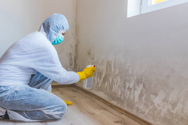 Crawl Space Mold Removal in Garrison, TX