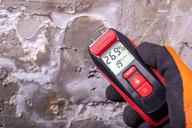 Reliable Garrison, TX Mold Removal Solutions