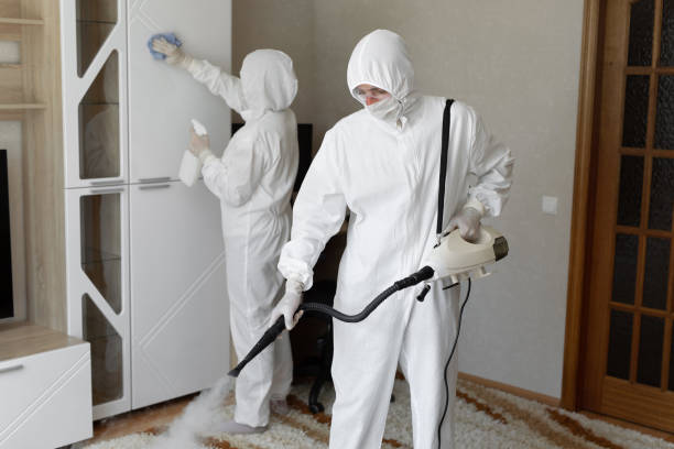 Best Home Mold Removal  in Garrison, TX