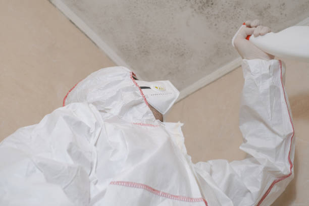 Best Emergency Mold Removal  in Garrison, TX