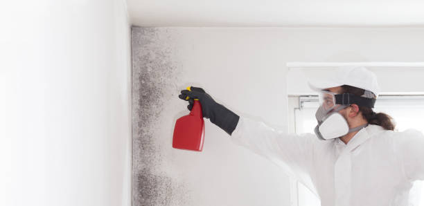 Best Home Mold Removal  in Garrison, TX