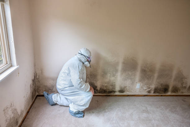 Best Commercial Mold Removal  in Garrison, TX