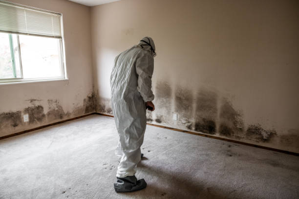 Best Emergency Mold Removal  in Garrison, TX