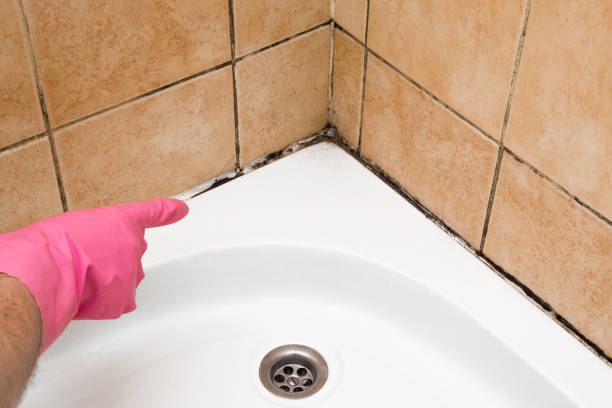 Best Office Mold Removal Services  in Garrison, TX